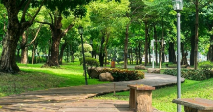 Recreational and lifestyle zone